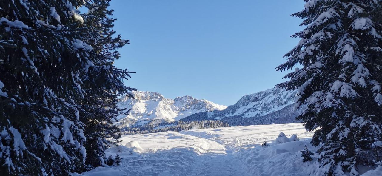 Trilocale Mansardato Nel Cuore Della Val Di Fiemme Lägenhet Ziano di Fiemme Exteriör bild